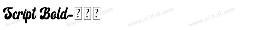 Script Bold字体转换